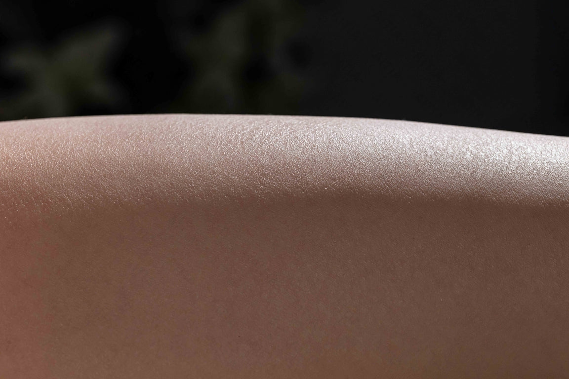 Yulania Sex Doll (AITIA Doll 163cm E-cup 2.2 Silicone)