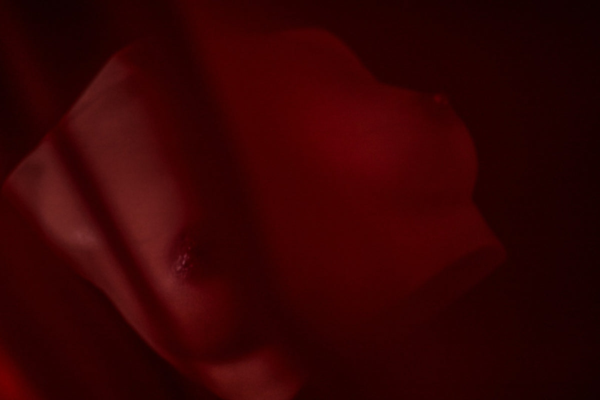 Κούκλα σεξ κορμού στήθους (S) (Climax Doll Pro B cup σιλικόνη)