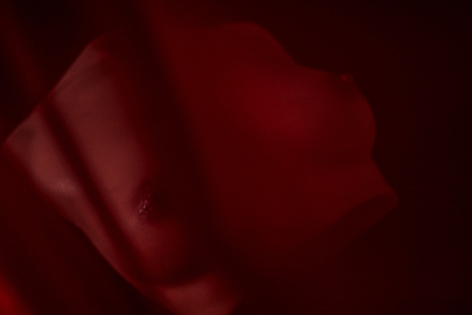 Κούκλα σεξ κορμού στήθους (S) (Climax Doll Pro B cup σιλικόνη)