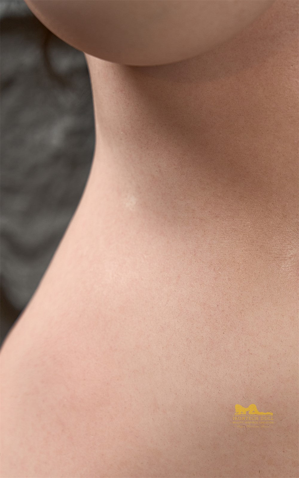 Sasha Sex doll (Irontech Doll 165cm F-cup T5-1 silicone)