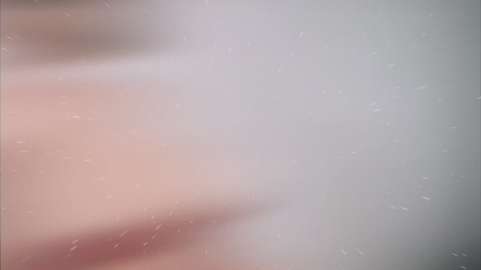 Wanda Sex doll (Dolls Castle 178cm P-cup #S7 silicone)