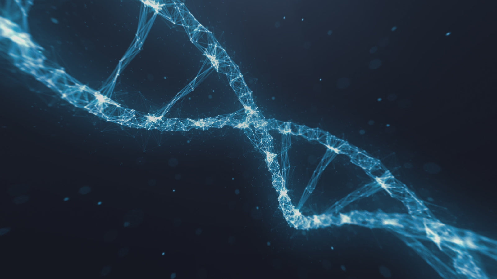 YOYO Sex doll (XT Doll 150cm D-cup #XT pants4-A silicone)