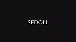 Jessie sex doll (SEDoll 161cm f-cup #088 TPE) EXPRESS