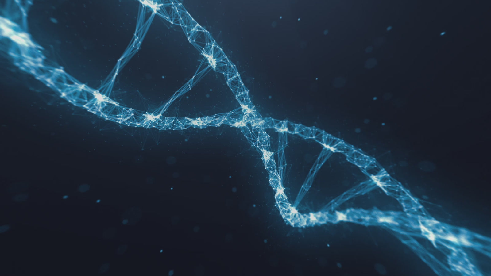 Секс кукла Натали (XT Doll 160cm H-Cup #XT-31 силикон)