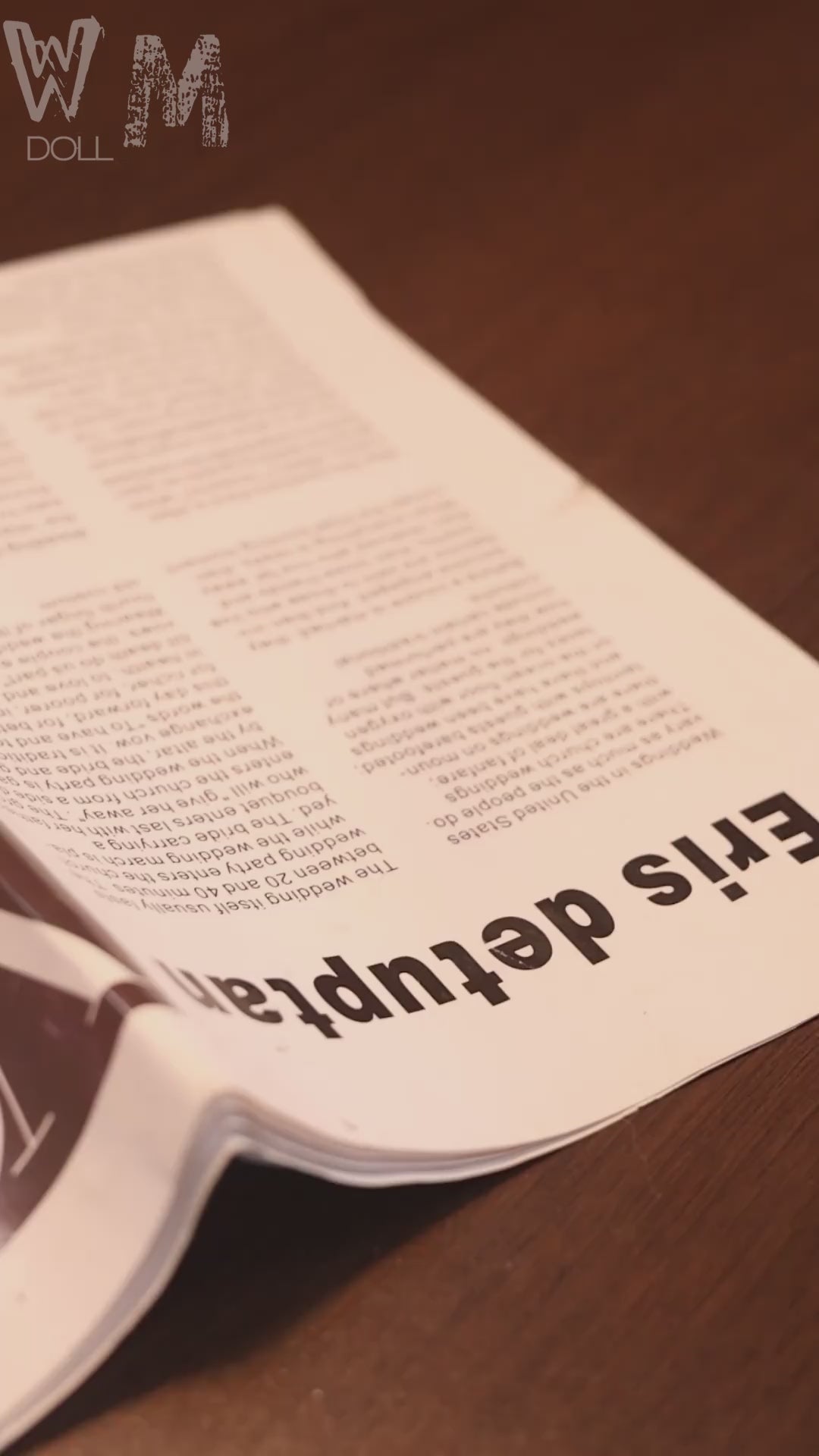 Секс кукла Малу (WM-Doll 162cm E-Cup #335 TPE)