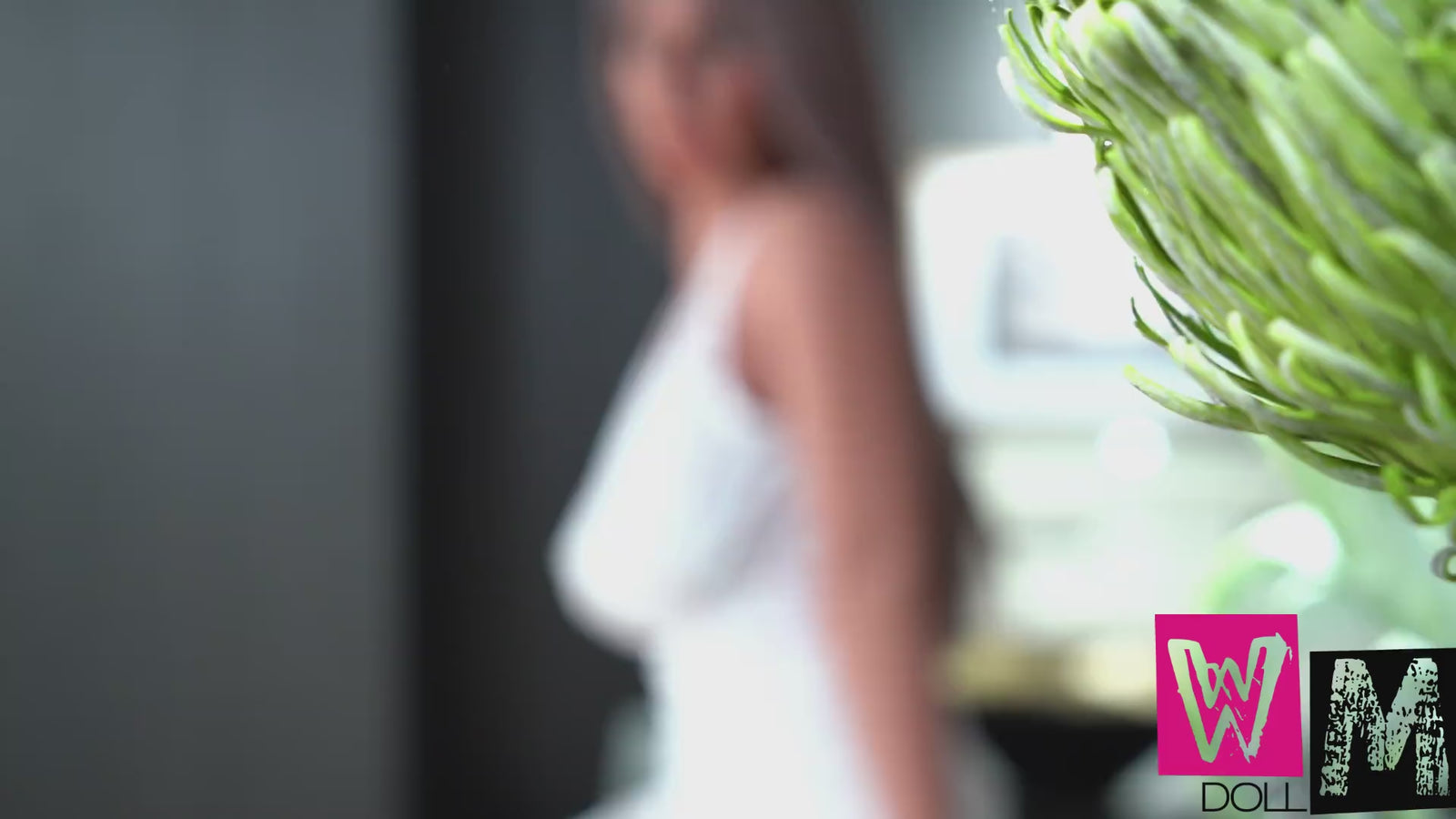 Лола Сек Долл (WM-Doll 165цм Д-Цуп #СС111 ТПЕ+силикон)