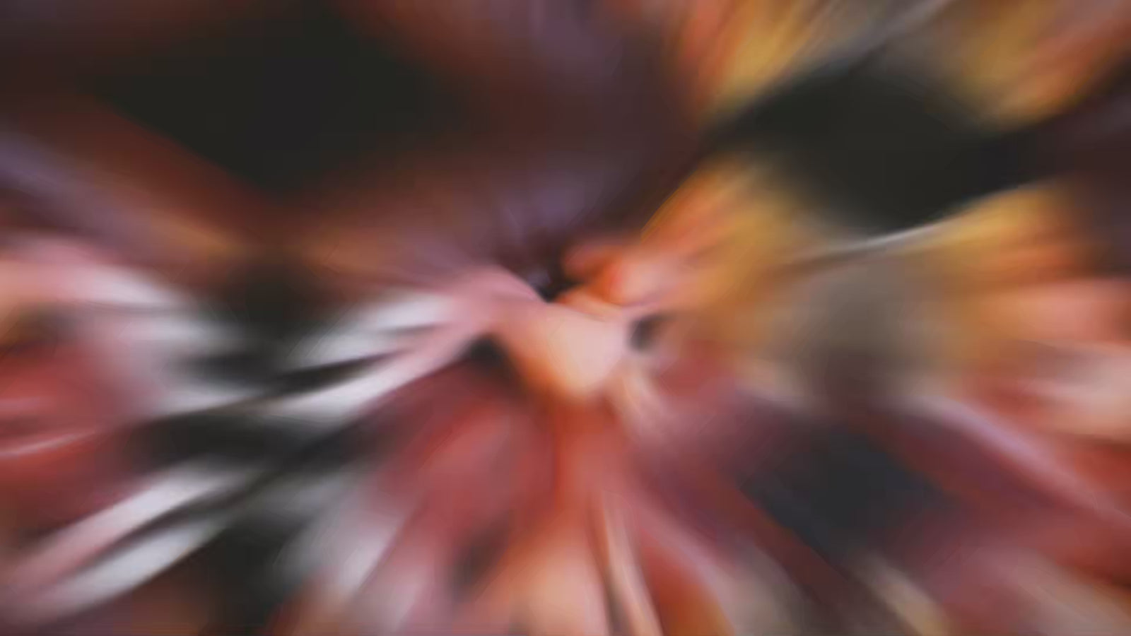 Tallulah Sex doll (Dolls Castle 121cm I-cup #DC44 TPE) EXPRESS